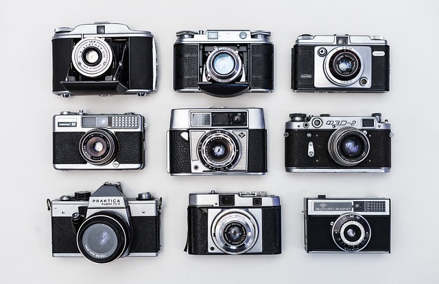 Curated Collections