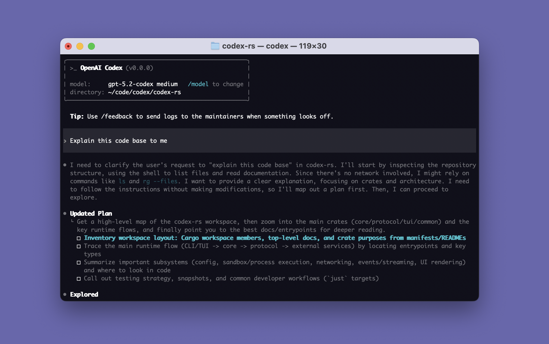 OpenAI Codex CLI — màn hình splash terminal