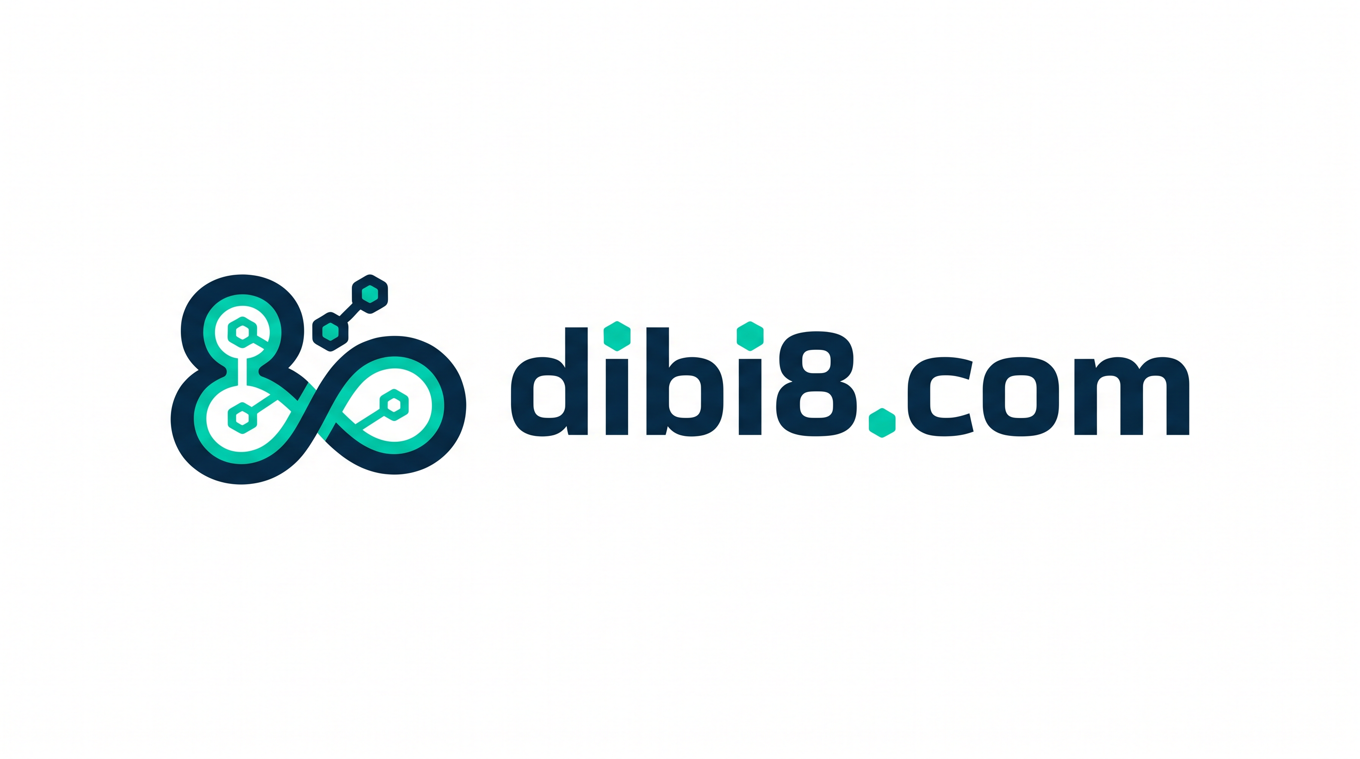 dibi8.com